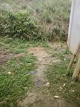 phuongxinhxan online show from March 2026 01:27:01 AM