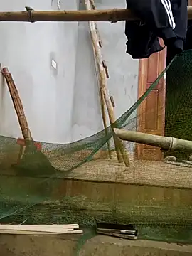 phuongxinhxan online show from March 2026 01:18:02 AM