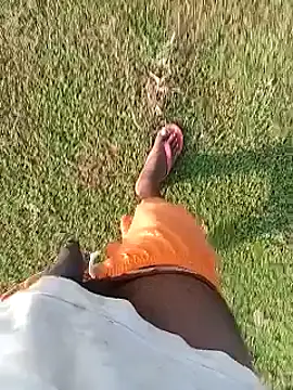 AgitatedStrip9 online show from October 2025 02:13:01 AM