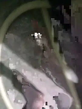 AgitatedStrip9 online show from October 2025 05:14:02 PM