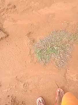 AgitatedStrip9 online show from September 2025 02:28:01 AM