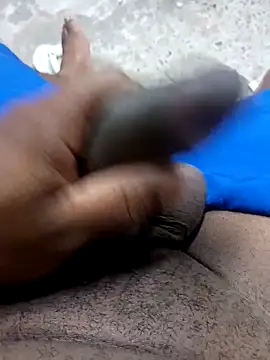 preto3561 online show from February 2026 02:16:02 PM