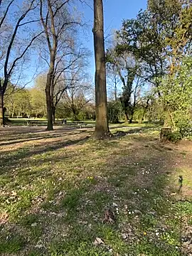 fioralba online show from March 2026 04:08:02 PM