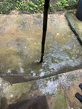 Gihan sil1088 online show from September 2025 03:46:01 AM