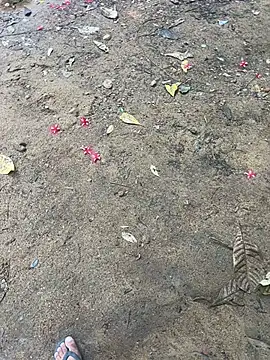 Gihan sil1088 online show from October 2025 10:12:02 AM