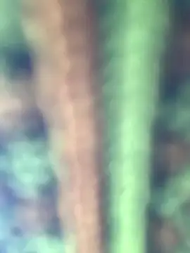 Halyy xx online show from January 2026 06:52:01 AM