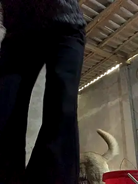 Snapshot of Halyy_xx chatting on October 2025 04:55:02 AM Halyy xx online show from October 2025 04:55:02 AM