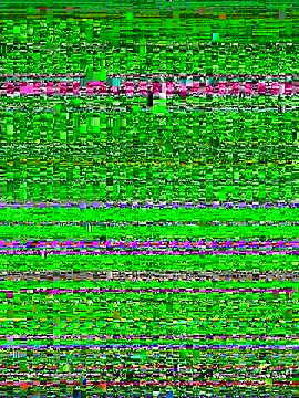 Halyy xx online show from November 2025 04:48:02 AM