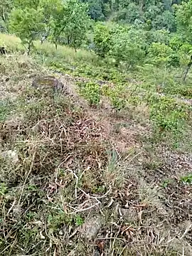 Snapshot of DICKLANKA chatting on September 2025 08:32:02 AM DICKLANKA online show from September 2025 08:32:02 AM