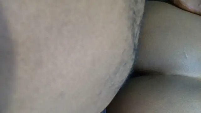 Dandelion enigman online show from October 2025 02:34:02 AM