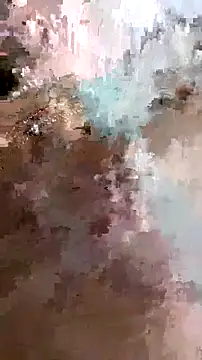 Adidas7217 online show from February 2026 09:49:01 AM