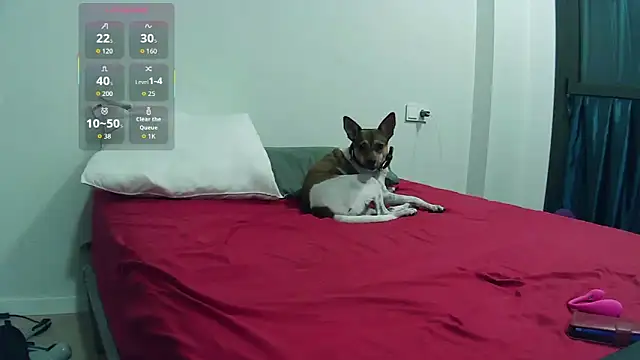 Catylandi1 online show from November 2025 10:35:01 PM