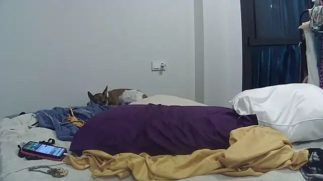 Catylandi1 online show from September 2025 05:03:01 AM