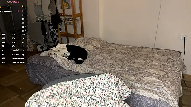 SabrinaFolts online show from December 2025 03:36:01 PM