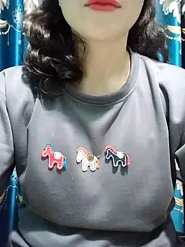 Mc chinese online show from March 2026 11:49:02 AM