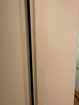 hhhajjib online show from November 2025 05:17:02 PM