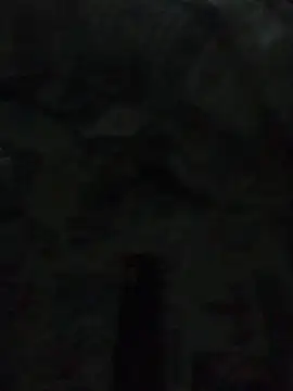 tiago1981pt online show from September 2025 12:39:02 AM