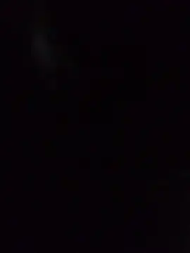 tiago1981pt online show from September 2025 09:55:01 PM