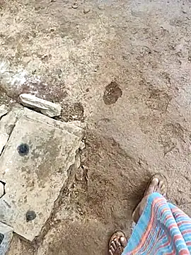 telugumodda4396 online show from October 2025 05:52:02 AM