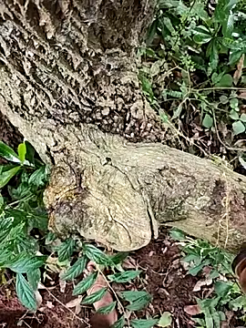 telugumodda4396 online show from October 2025 06:34:01 AM