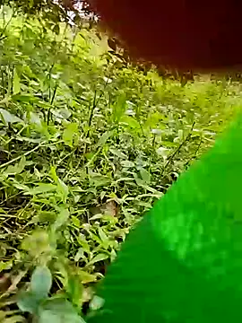 telugumodda4396 online show from October 2025 07:51:02 AM