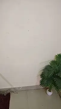 hotestfantasy online show from April 2026 10:28:02 AM