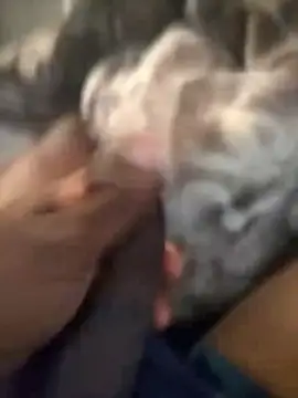 Blackveins32 online show from November 2025 09:46:01 AM