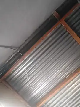 Blackveins32 online show from April 2026 06:32:02 AM