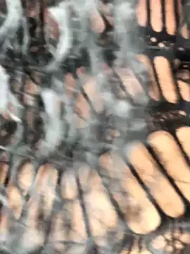 Fun size86 online show from December 2025 05:27:02 PM