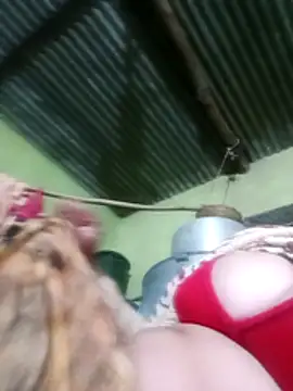 Haliya88 online show from December 2025 03:14:02 PM