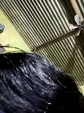 Haliya88 online show from March 2026 05:49:01 PM