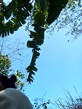 Snapshot of dorothyxx chatting on December 2025 03:51:01 AM dorothyxx online show from December 2025 03:51:01 AM