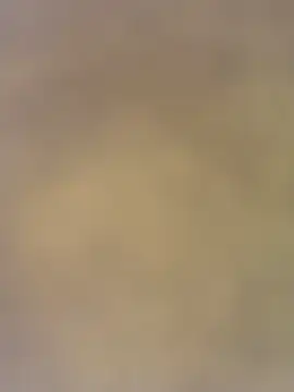 Snapshot of charlotteemerson123 chatting on November 2025 03:12:01 PM charlotteemerson123 online show from November 2025 03:12:01 PM