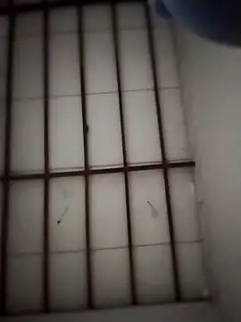 Yakpatiya7788 online show from March 2026 05:03:01 PM