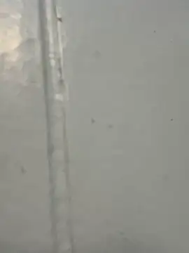 Foxy-lover online show from October 2025 02:02:01 AM