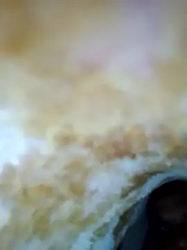 Snapshot of alone_boy802 chatting on October 2025 06:23:01 AM alone boy802 online show from October 2025 06:23:01 AM