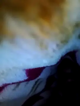 Snapshot of alone_boy802 chatting on October 2025 06:01:02 PM alone boy802 online show from October 2025 06:01:02 PM