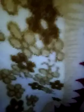 Snapshot of alone_boy802 chatting on November 2025 08:19:02 AM alone boy802 online show from November 2025 08:19:02 AM