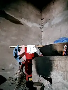 xuxulovezz online show from February 2026 04:45:02 AM