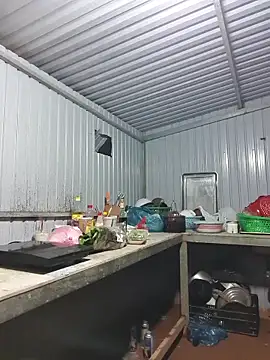 Helen-Tran online show from November 2025 12:05:02 PM