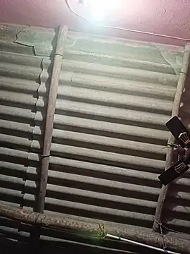 reya743 online show from November 2025 10:19:02 AM