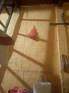 ruby-00 online show from September 2025 04:02:01 PM