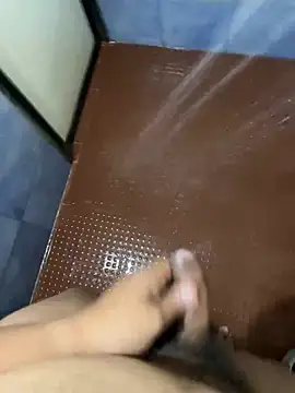 Snapshot of raj0608a chatting on July 2026 06:13:01 AM raj0608a online show from July 2026 06:13:01 AM