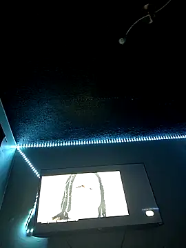 Painstickwes online show from February 2026 09:54:01 PM