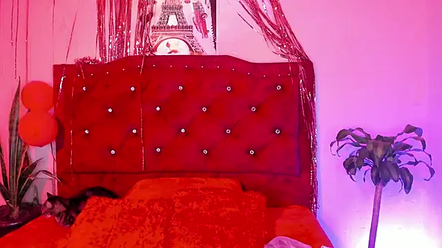 kitty  chs online show from March 2026 04:34:01 AM