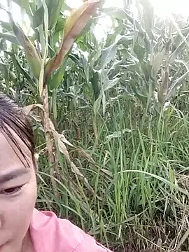 Meomeo-meo online show from October 2025 01:04:02 AM