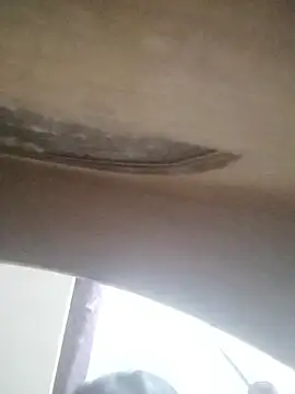 ZANUAAA online show from September 2025 06:31:02 AM