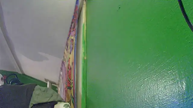 HippieDad333 online show from November 2025 03:12:02 AM