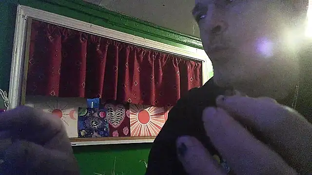 HippieDad333 online show from February 2026 11:14:02 PM