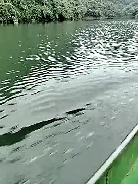 Lie liee online show from October 2025 01:26:01 AM